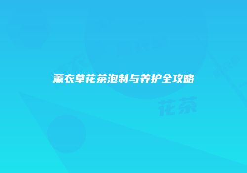 薰衣草花茶泡制与养护全攻略