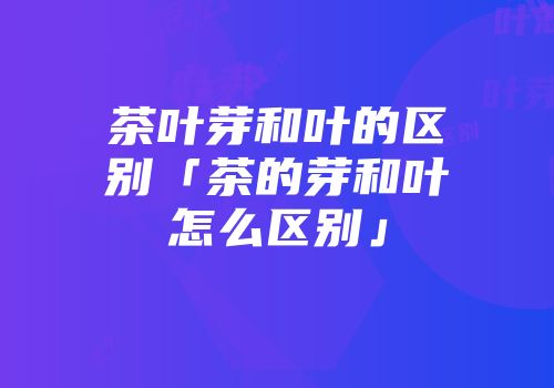 茶叶芽和叶的区别「茶的芽和叶怎么区别」