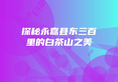 探秘永嘉县东三百里的白茶山之美