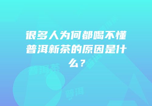 很多人为何都喝不懂普洱新茶的原因是什么？