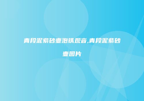 青段泥紫砂壶泡铁观音,青段泥紫砂壶图片