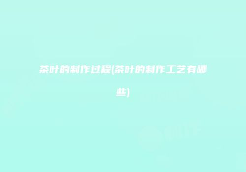 茶叶的制作过程(茶叶的制作工艺有哪些)