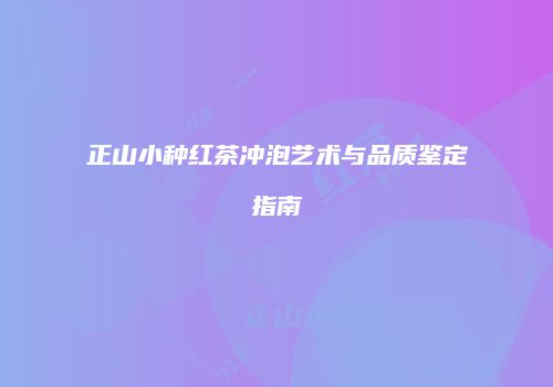 正山小种红茶冲泡艺术与品质鉴定指南