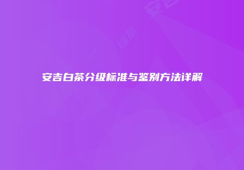 安吉白茶分级标准与鉴别方法详解