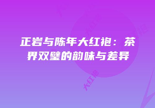 正岩与陈年大红袍：茶界双璧的韵味与差异