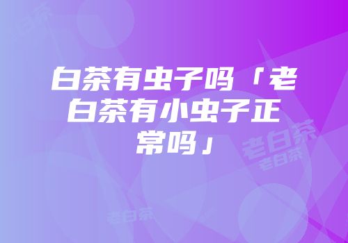 白茶有虫子吗「老白茶有小虫子正常吗」
