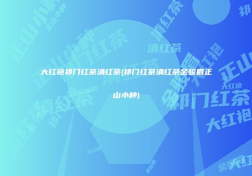 大红袍祁门红茶滇红茶(祁门红茶滇红茶金骏眉正山小种)