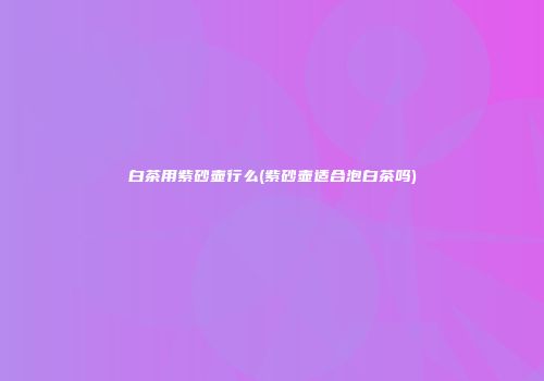 白茶用紫砂壶行么(紫砂壶适合泡白茶吗)