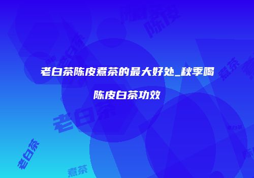老白茶陈皮煮茶的最大好处_秋季喝陈皮白茶功效