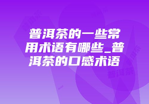 普洱茶的一些常用术语有哪些_普洱茶的口感术语