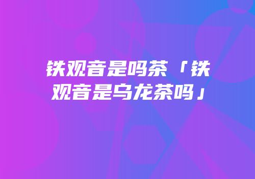 铁观音是吗茶「铁观音是乌龙茶吗」
