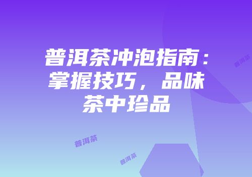 普洱茶冲泡指南：掌握技巧，品味茶中珍品