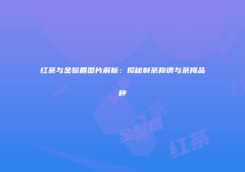 红茶与金骏眉图片解析：揭秘制茶称谓与茶梅品种