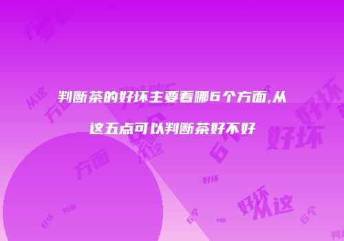 判断茶的好坏主要看哪6个方面,从这五点可以判断茶好不好
