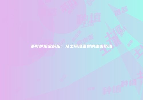 茶叶种植全解析：从土壤准备到病虫害防治