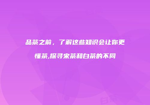 品茶之前，了解这些知识会让你更懂茶,探寻宋茶和白茶的不同