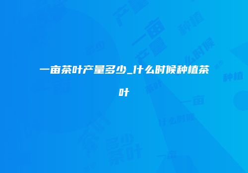 一亩茶叶产量多少_什么时候种植茶叶