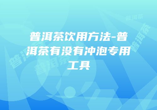 普洱茶饮用方法-普洱茶有没有冲泡专用工具