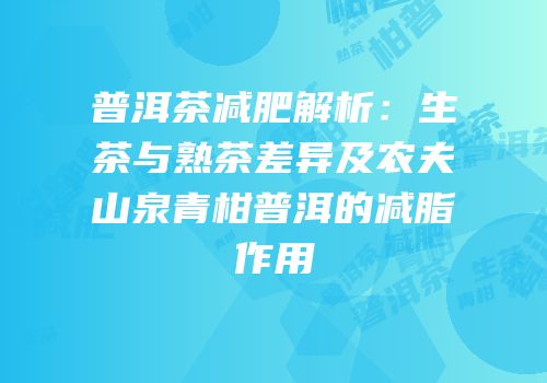 普洱茶减肥解析：生茶与熟茶差异及农夫山泉青柑普洱的减脂作用