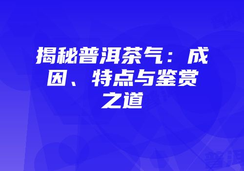 揭秘普洱茶气：成因、特点与鉴赏之道