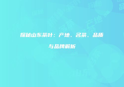 探秘山东茶叶：产地、名茶、品质与品牌解析