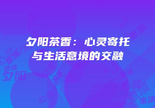 夕阳茶香：心灵寄托与生活意境的交融