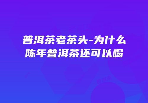普洱茶老茶头-为什么陈年普洱茶还可以喝
