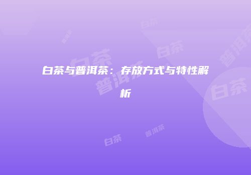 白茶与普洱茶：存放方式与特性解析