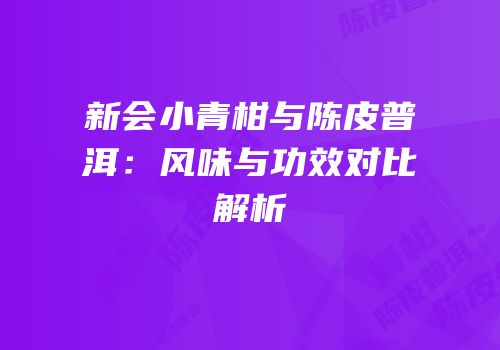 新会小青柑与陈皮普洱：风味与功效对比解析