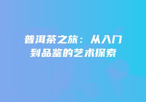 普洱茶之旅：从入门到品鉴的艺术探索