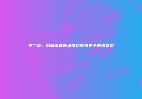 芝兰香：耐旱香草的神奇功效与安全使用指南