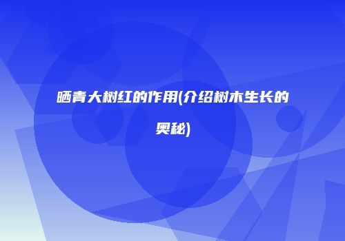 晒青大树红的作用(介绍树木生长的奥秘)
