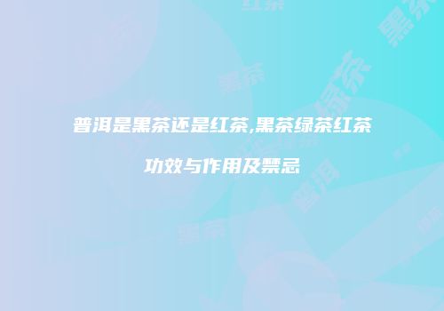 普洱是黑茶还是红茶,黑茶绿茶红茶功效与作用及禁忌