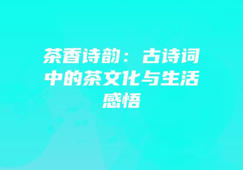 茶香诗韵：古诗词中的茶文化与生活感悟