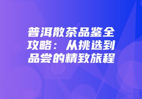 普洱散茶品鉴全攻略：从挑选到品尝的精致旅程