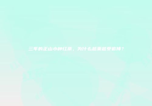 三年的正山小种红茶，为什么越来越受追捧？