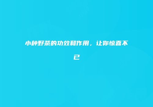 小种野茶的功效和作用，让你惊喜不已
