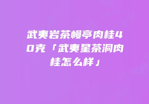 武夷岩茶幔亭肉桂40克「武夷星茶洞肉桂怎么样」