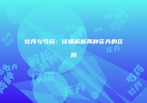 牡丹与芍药：详细解析两种花卉的区别