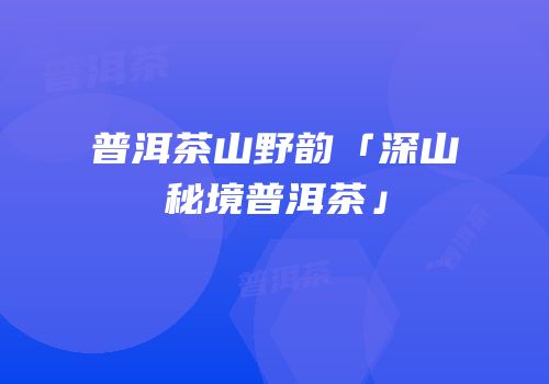 普洱茶山野韵「深山秘境普洱茶」