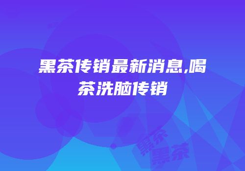 黑茶传销最新消息,喝茶洗脑传销