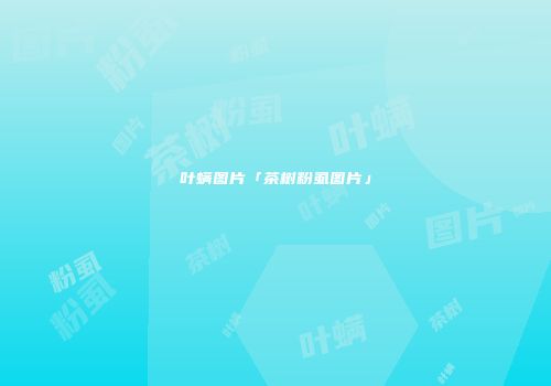 叶螨图片「茶树粉虱图片」