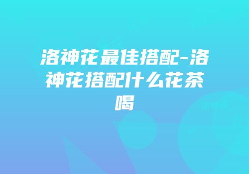 洛神花最佳搭配-洛神花搭配什么花茶喝