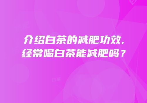 介绍白茶的减肥功效,经常喝白茶能减肥吗？