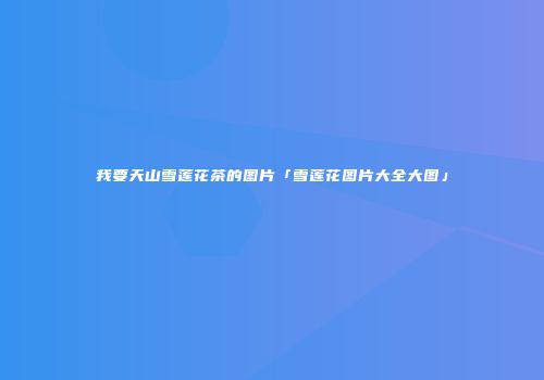 我要天山雪莲花茶的图片「雪莲花图片大全大图」
