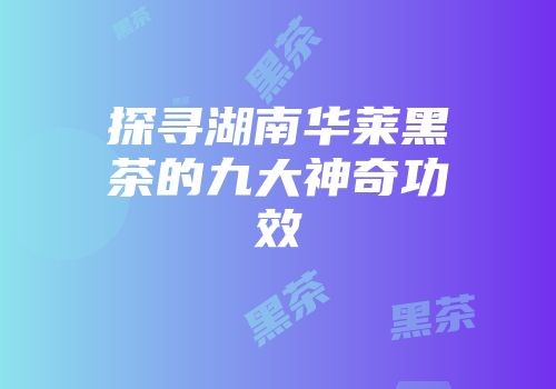 探寻湖南华莱黑茶的九大神奇功效