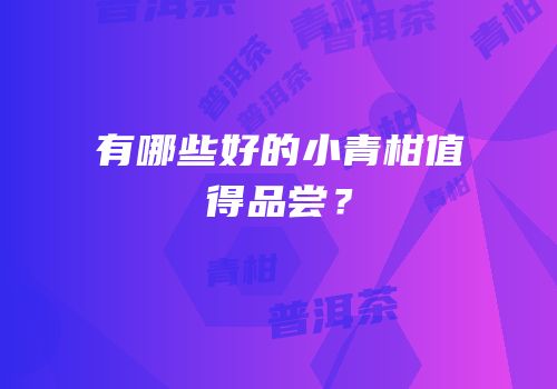 有哪些好的小青柑值得品尝？