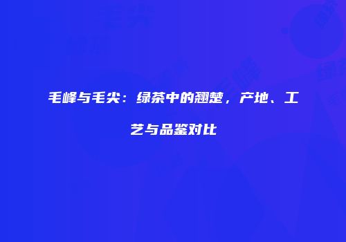毛峰与毛尖：绿茶中的翘楚，产地、工艺与品鉴对比