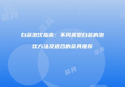 白茶泡饮指南：不同类型白茶的泡饮方法及适合的茶具推荐