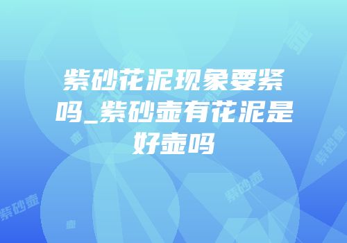 紫砂花泥现象要紧吗_紫砂壶有花泥是好壶吗